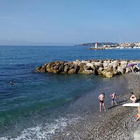 Les Brises De - Les Miradors 멍똥