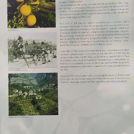 Les Brises De - Les Miradors * 芒通