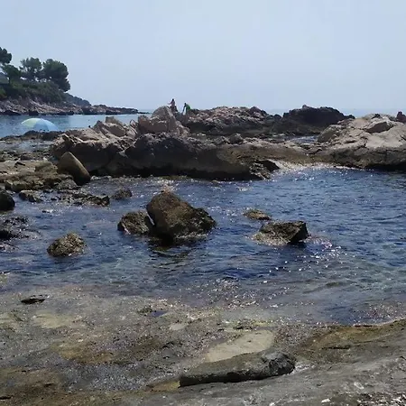 Les Brises De - Les Miradors *